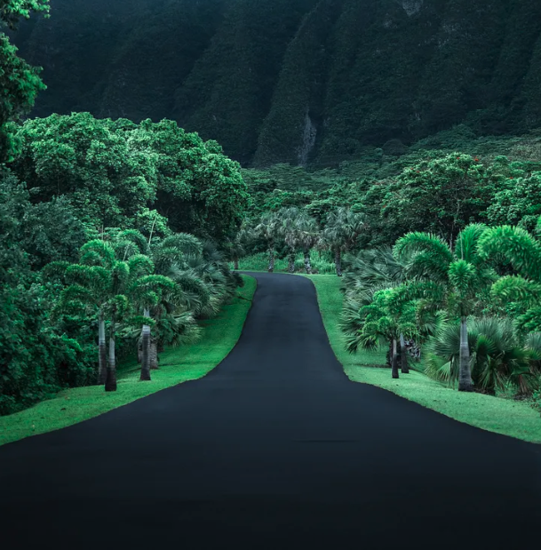 Digital image of a road heading off through a mountain jungle.
